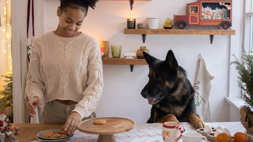 5 idées de repas de Noël pour votre chien ou votre chat