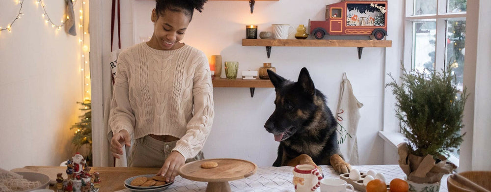 5 idées de repas de Noël pour votre chien ou votre chat