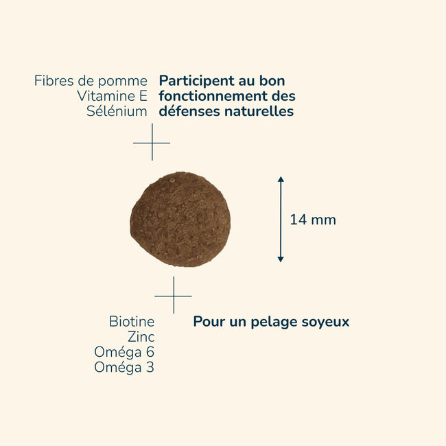  Adult Medium | Chien adulte de taille moyennePro-Nutrition Flatazor 3