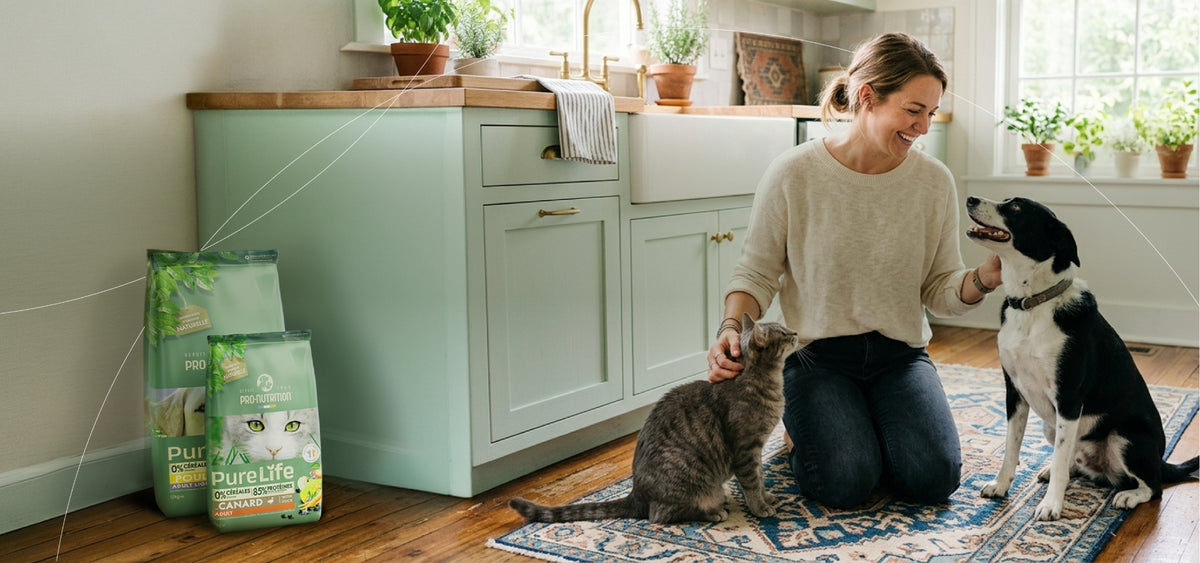 Pro-Nutrition : croquettes premium chien et chat