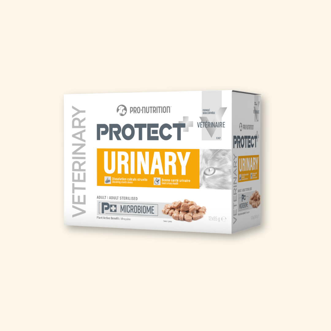 Protect Urinary Wet - Pâtée pour chat avec troubles urinaires