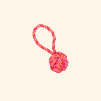 Jouet pour chien à lancer en corde tressée rose et orange avec balle nouée et poignée en boucle.