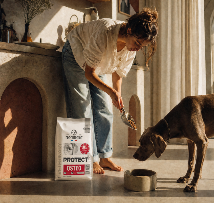 Femme versant des croquettes Pro-Nutrition Protect Osteo dans une gamelle devant un chien.