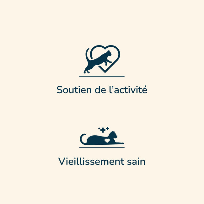  Adult 8+ Sterilised -  Saveur Poulet | Chat adulte stérilisé et/ou ayant tendance à l'embonpoint de plus de 8 ansPro-Nutrition 