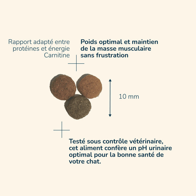  Adult Sterilised -  Saveur Poulet | Chat adulte stérilisé et/ou ayant tendance à l'embonpointPro-Nutrition Flatazor 4