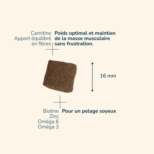  Adult Medium Maxi Light / Sterilised |Chien adulte stérilisé et/ou ayant tendance à l’embonpoint, de moyenne et grande taillePr