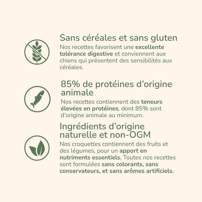  Puppy Maxi - Saveur Sardine | Chiot de grande taillePro-Nutrition Flatazor 4