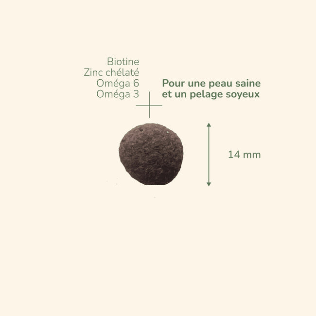 Adult Medium - Saveur Saumon | Chien adulte de taille moyennePro-Nutrition Flatazor 3