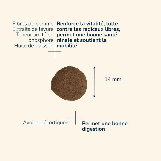  Adult 7+ Medium | Chien adulte de taille moyenne, de plus de 7 ansPro-Nutrition Flatazor 4