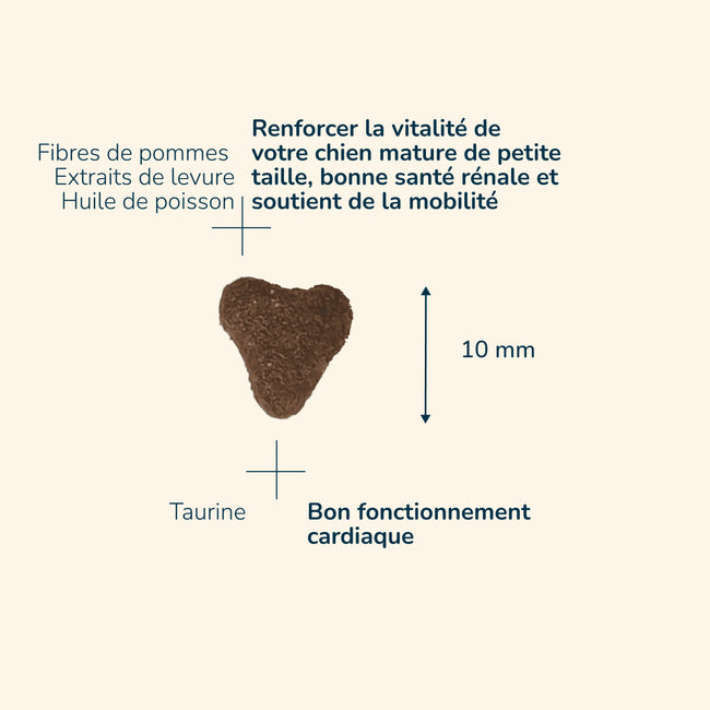  Adult 8+ Mini | Chien adulte de petite taille, de plus de 8 ansPro-Nutrition Flatazor 3