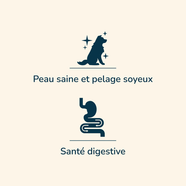  Adult Peau Saine| Chien adulte de toute taille, pour une bonne santé de la peauPro-Nutrition Flatazor 2