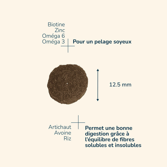  Adult Peau Saine| Chien adulte de toute taille, pour une bonne santé de la peauPro-Nutrition Flatazor 4