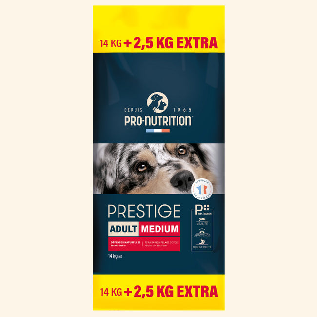  Adult Medium | Chien adulte de taille moyennePro-Nutrition Flatazor 6
