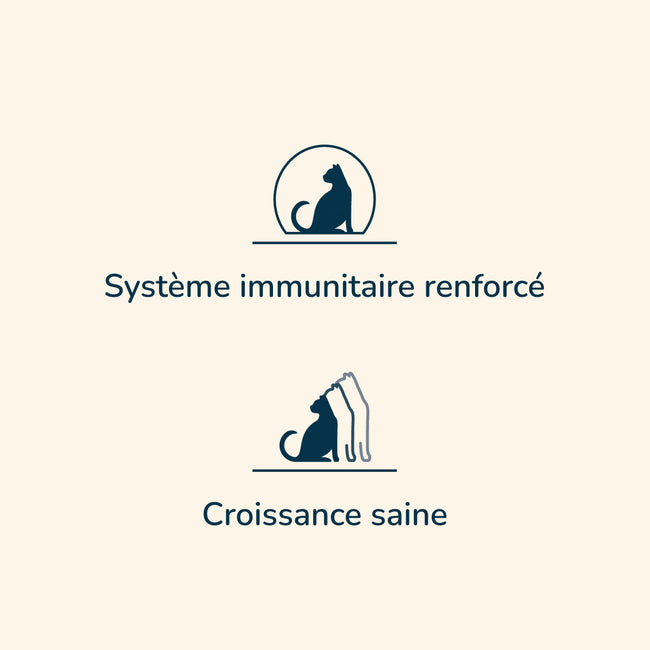  Kitten - Saveur Poissons | Chaton ou chatte en fin de gestation et en lactationPro-Nutrition Flatazor 2