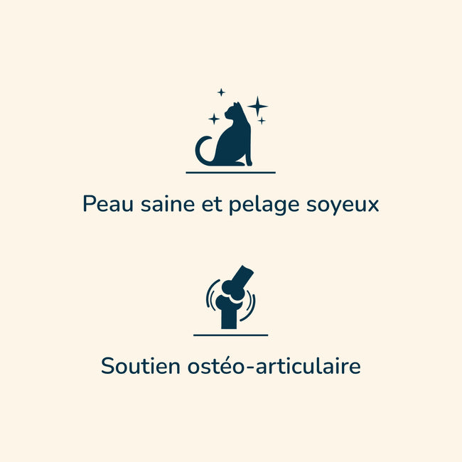  Adult Large Breed - Saveur Poulet | Chat adulte de grande taille et/ou stérilisé 2