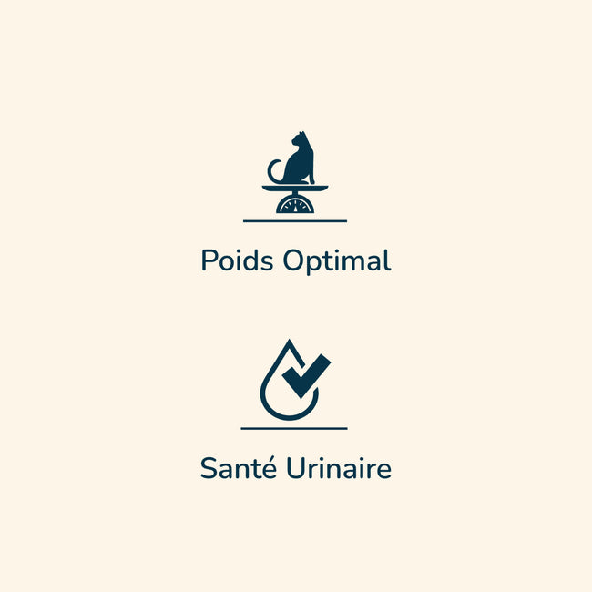  Adult Sterilised -  Saveur Poulet | Chat adulte stérilisé et/ou ayant tendance à l'embonpointPro-Nutrition Flatazor 2