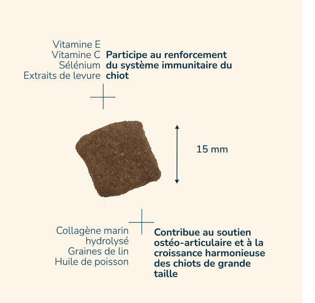  Puppy Maxi | Chiot et jeune chien de grande taillePro-Nutrition Flatazor 3