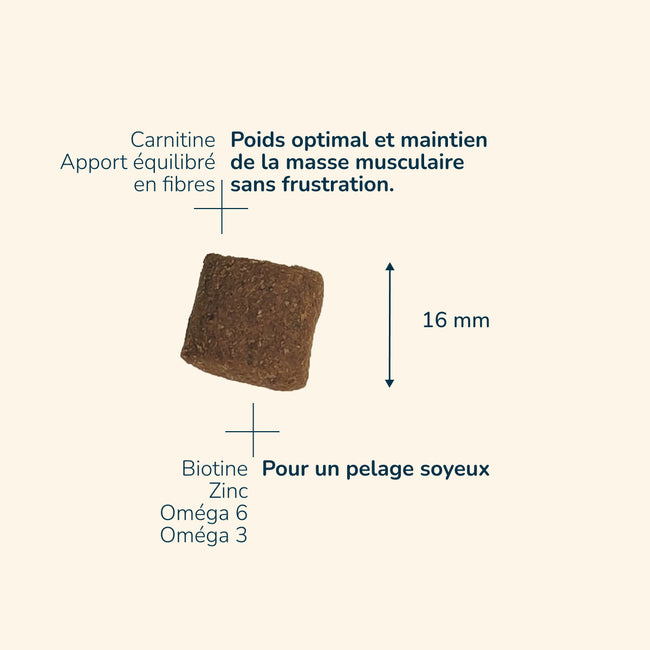  Adult Medium Maxi Light / Sterilised | Chien adulte stérilisé et/ou ayant tendance à l’embonpoint, de moyenne et grande tailleP