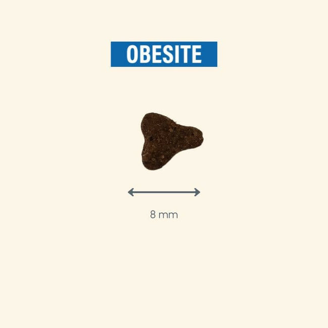  Obesité | Chat en surpoids ou obèsePro-Nutrition Flatazor 7