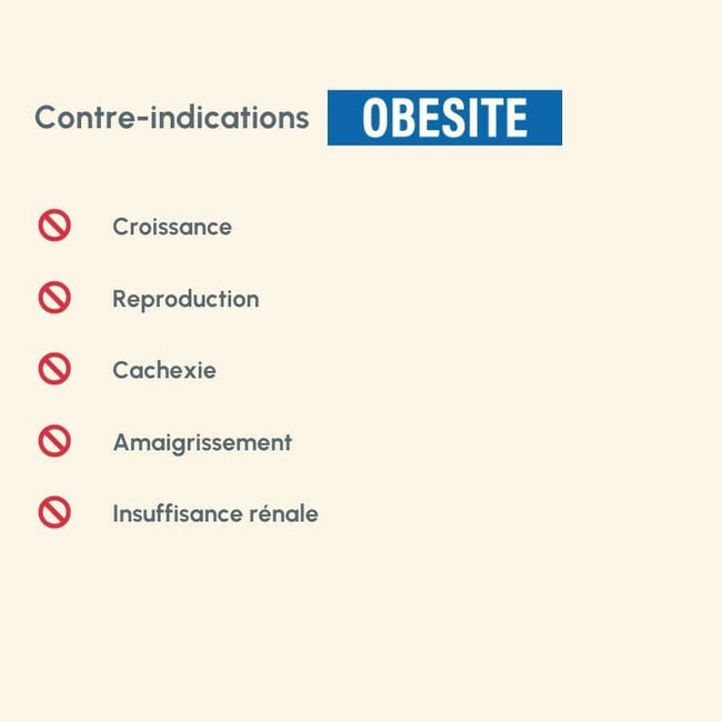  Obesité | Chat en surpoids ou obèsePro-Nutrition Flatazor 6