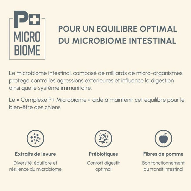  Digest | Chien ayant des troubles gastro-intestinauxPro-Nutrition Flatazor 8