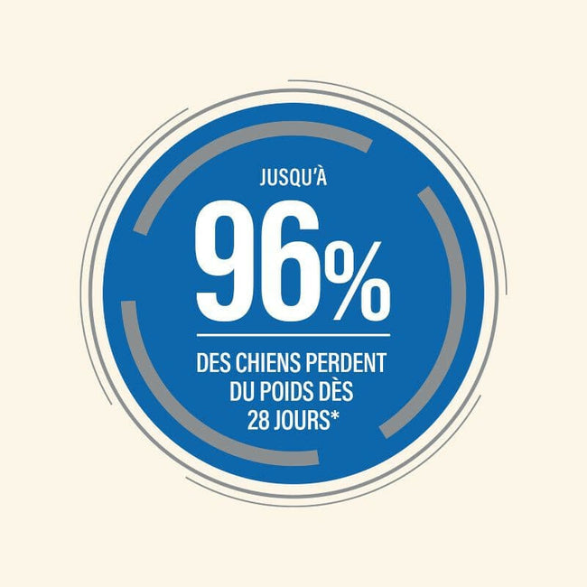  Obesité | Chien en surpoids ou obèsePro-Nutrition Flatazor 2