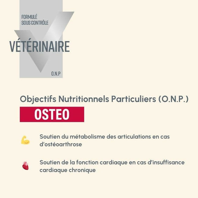  Osteo | Chien ayant des problèmes ostéoarticulairesPro-Nutrition Flatazor 3