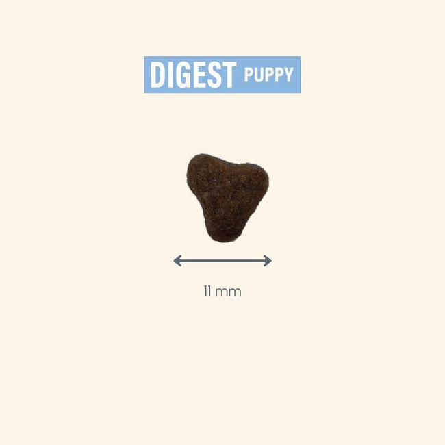 Protect Puppy Digest