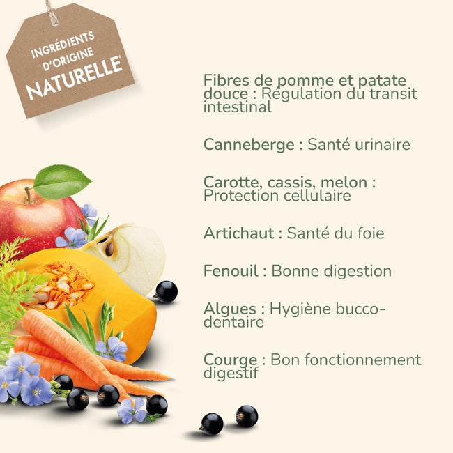  Digestion Sensible - Saveur Agneau | Croquettes chien adulte sensibilité digestivePro-Nutrition Flatazor 4