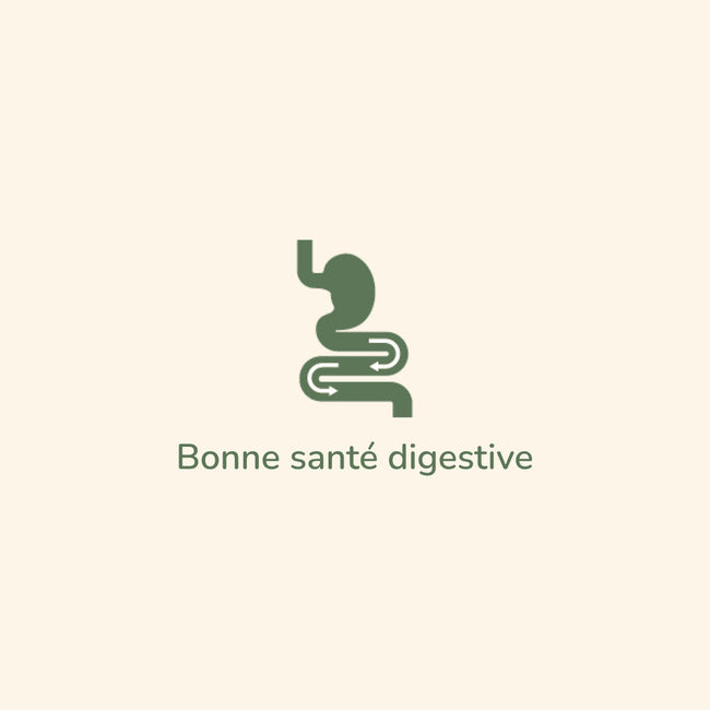  Digestion Sensible - Saveur Agneau | Croquettes chien adulte sensibilité digestivePro-Nutrition Flatazor 3