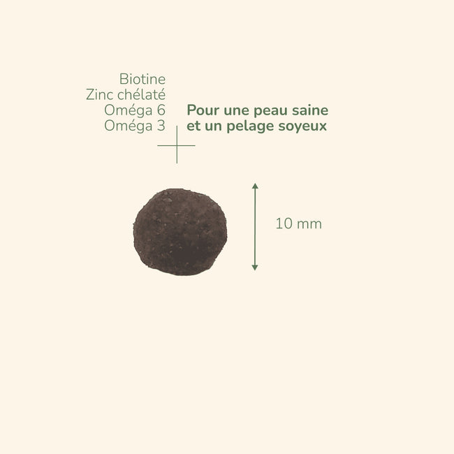  Adult - Saveur Dinde | Chat adultePro-Nutrition Flatazor 3