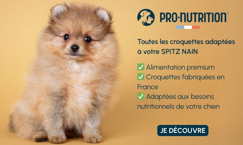 Croquettes Pro Nutrition pour Spitz nain