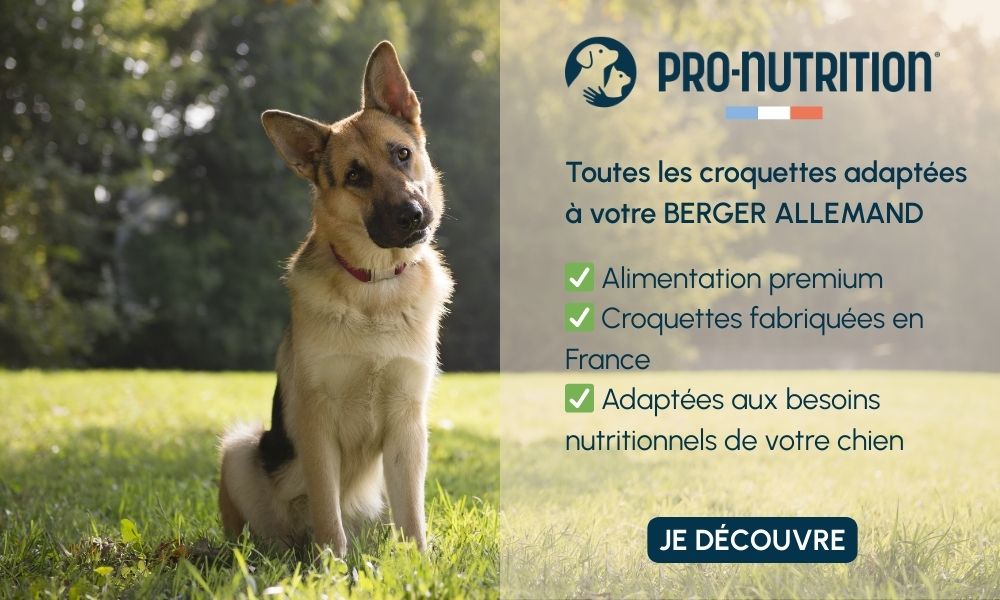 Croquettes Pro Nutrition pour Berger Allemand