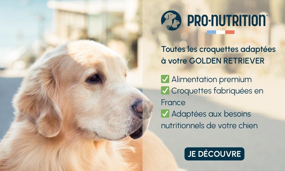 Croquettes Pro Nutrition Golden