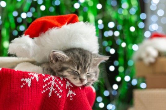 Sapin de Noël