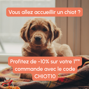 Code Promo