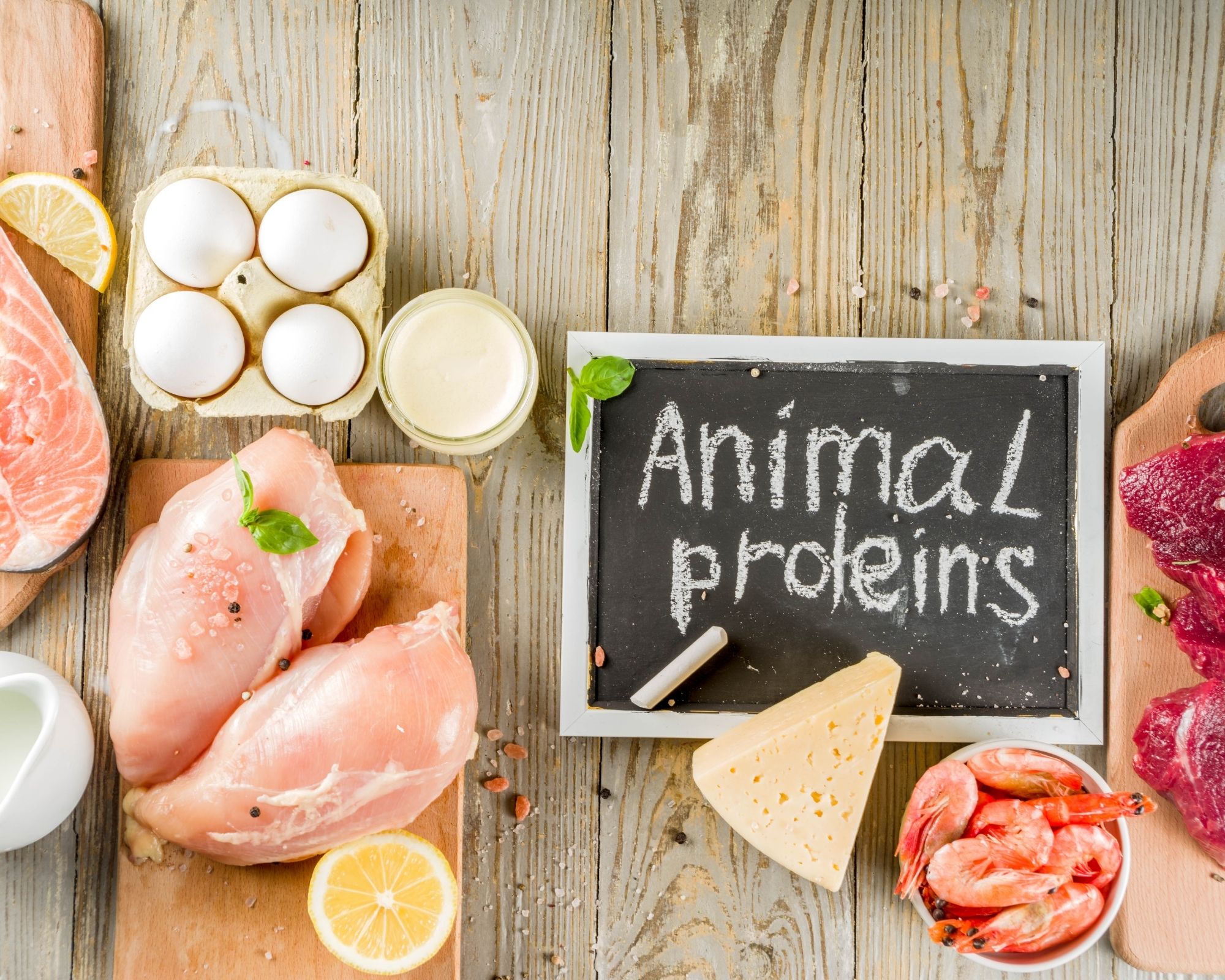 Les protéines animales : indispensables pour votre compagnon