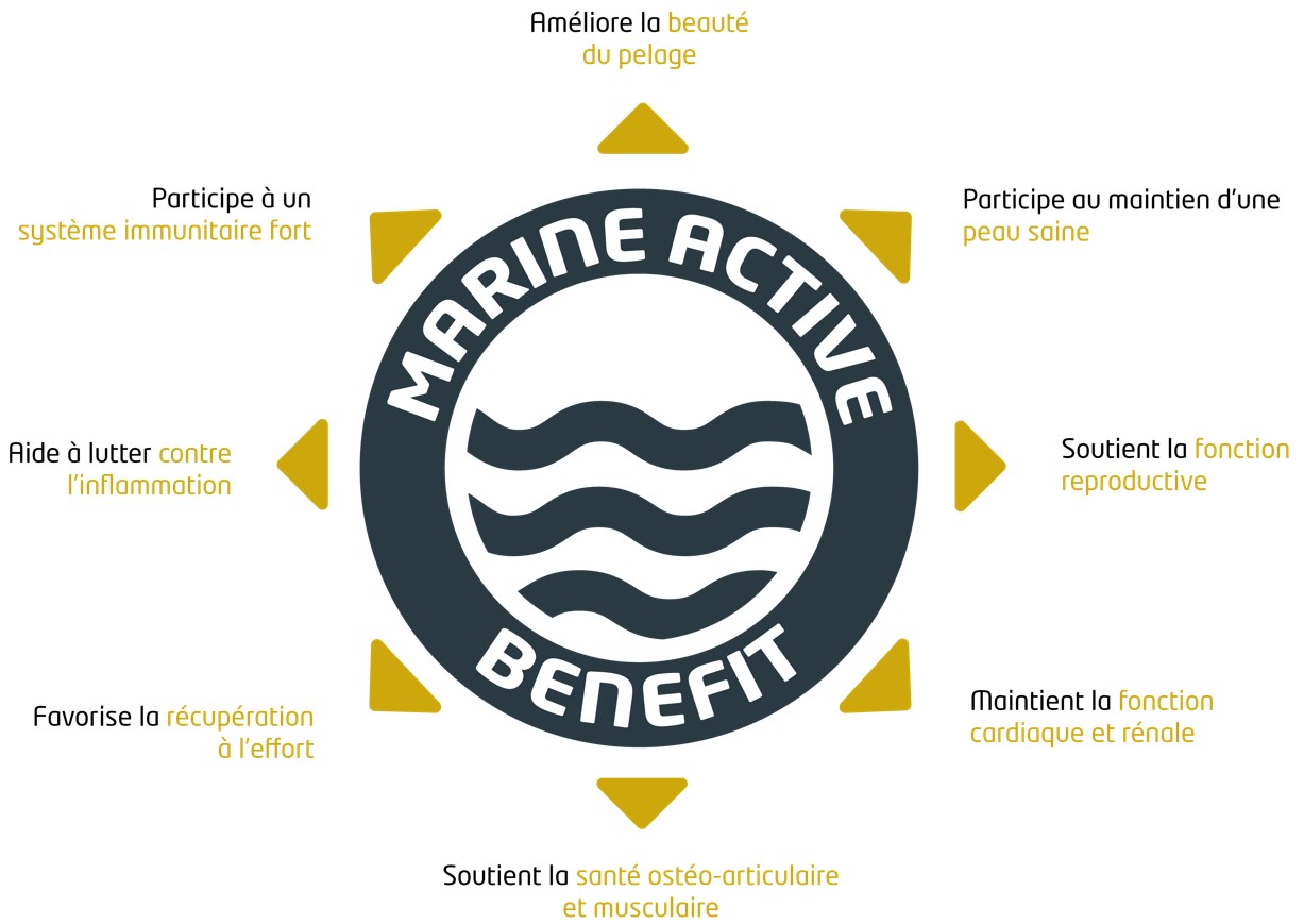 Marine Active Benefit