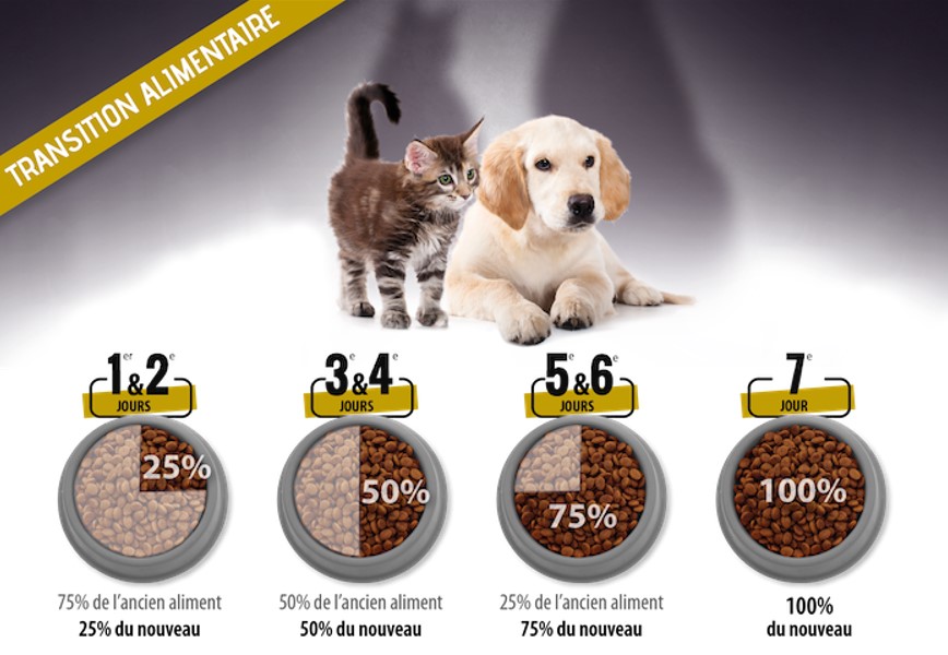 transition alimentaire visuel