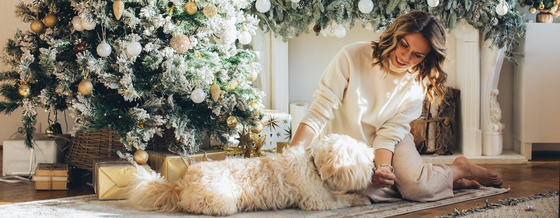 5 idées cadeaux de Noël à offrir pour votre chien et chat