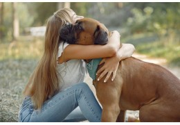 Quelles croquettes sans céréales pour chien sénior ?