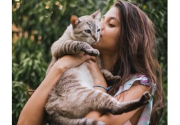 Massage chez le chat : où et comment le caresser ?
