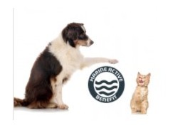 Marine active benefit, un ingrédient exclusif pour la vitalité et le bien-être des chiens et des chats