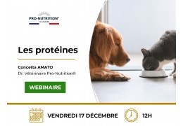 L'importance des protéines dans l’alimentation du chien et du chat