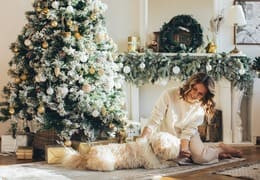 5 idées cadeaux de Noël à offrir pour votre chien et chat