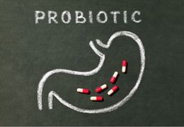 Les probiotiques : quels bénéfices pour mon animal de compagnie ?