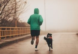 Faire du sport avec son chien, pour sa santé et la vôtre !