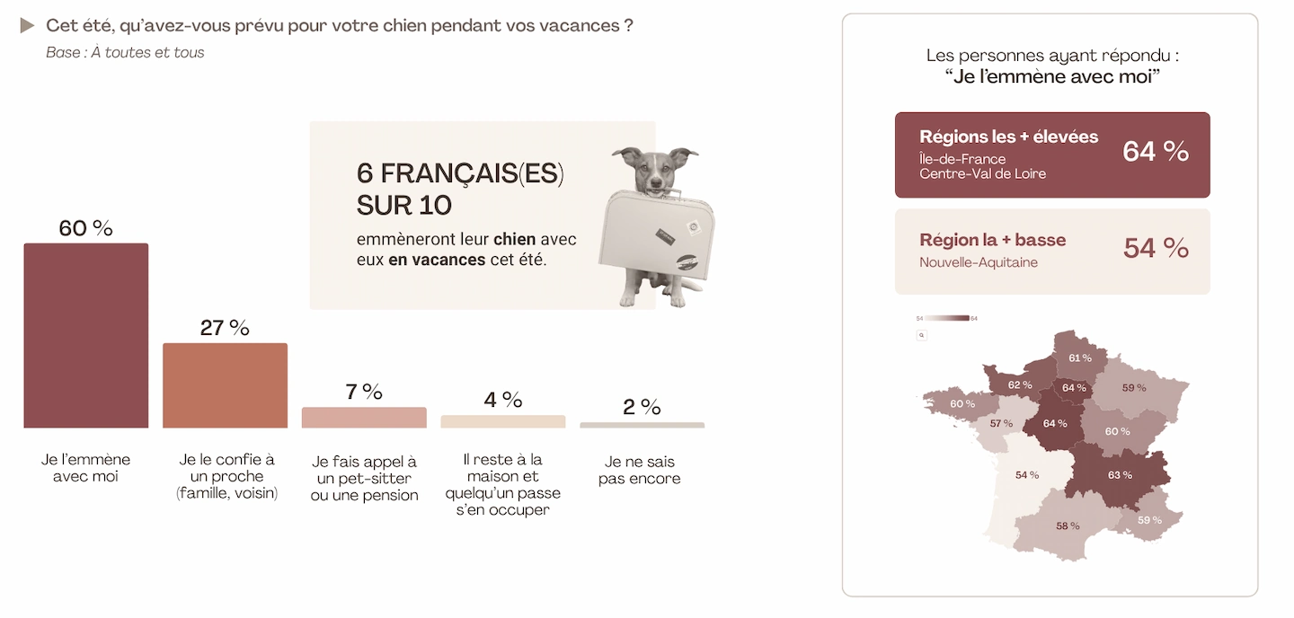 6 Français sur 10 emmèneront leur chien en vacances cet été, avec des variations régionales de 54 % à 64 %.
